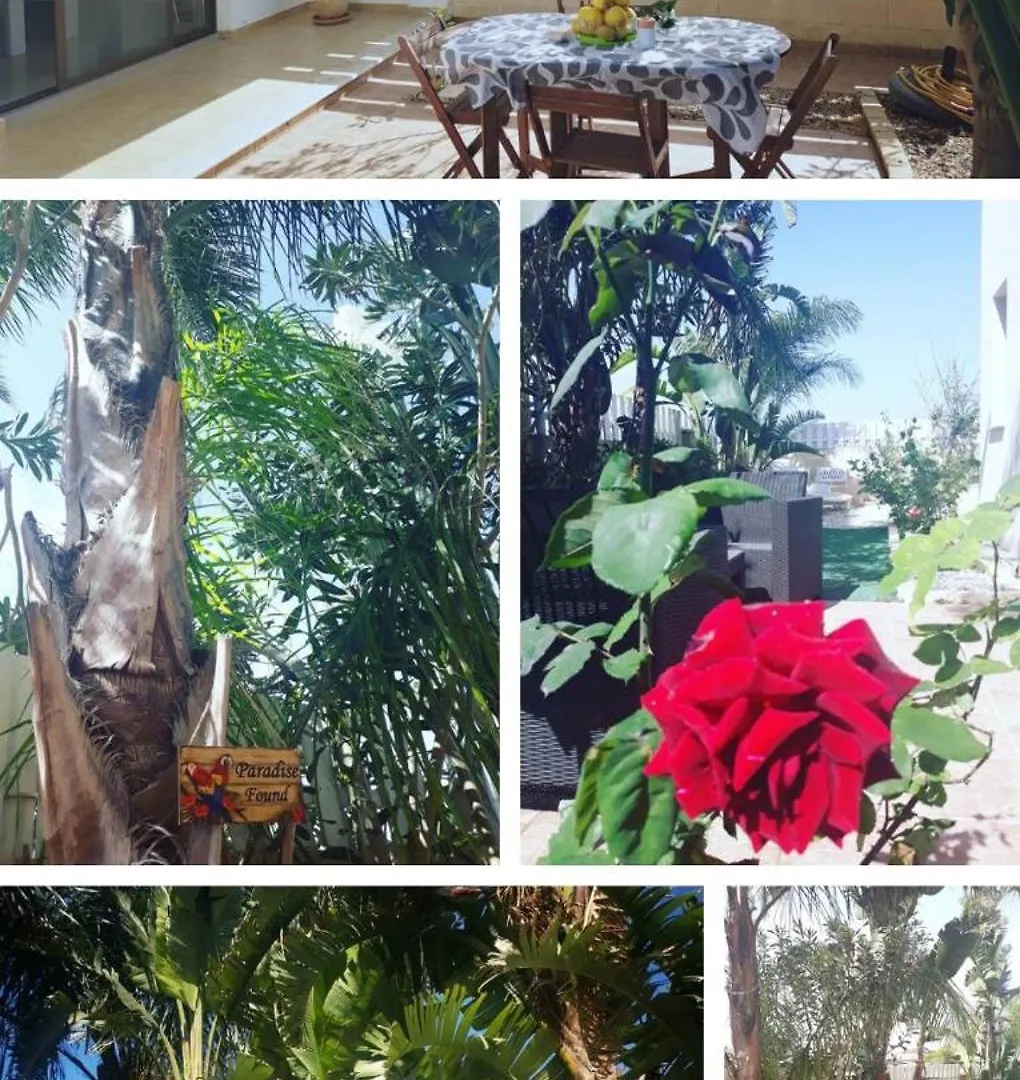 Garden Art Apartment Perivolia